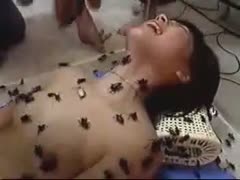 A na&ocirc;?&Acirc;&macr;ve, totally nude, eighteen-year-old Caucasian woman gets covered in mounds of bugs in this insane fetish episode.